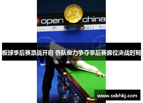 板球季后赛激战开启 各队奋力争夺季后赛席位决战时刻