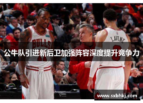 公牛队引进新后卫加强阵容深度提升竞争力