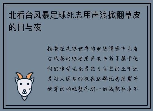 北看台风暴足球死忠用声浪掀翻草皮的日与夜