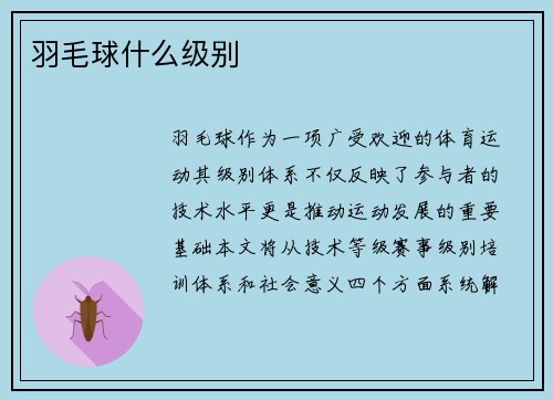 羽毛球什么级别