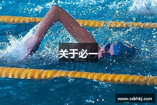 关于必一